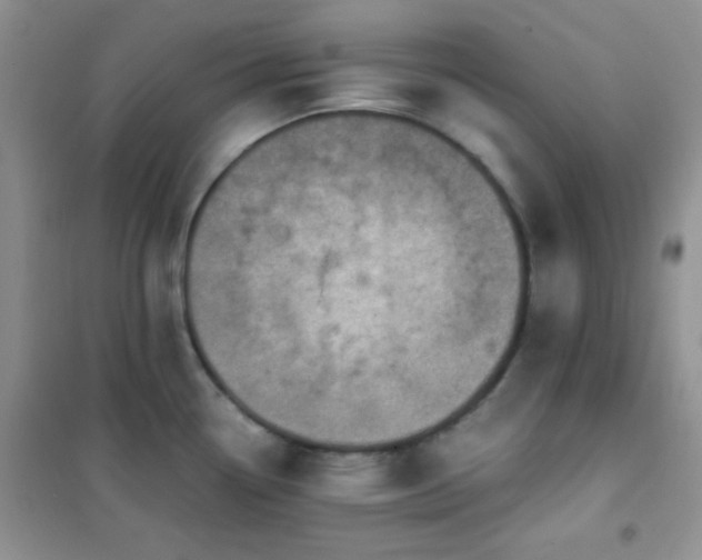 X0000102341338200808011131