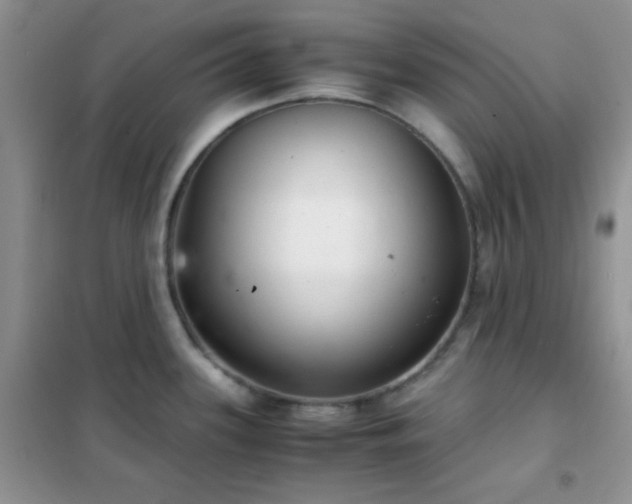 X0000102341339200808011131