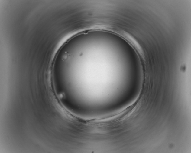 X0000102341340200808011131