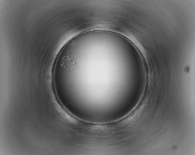 X0000102341341200808011131