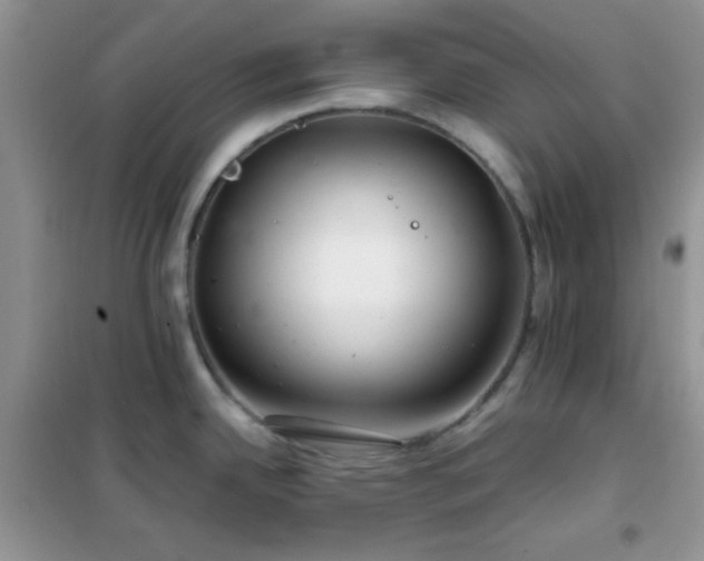 X0000102341342200808011131