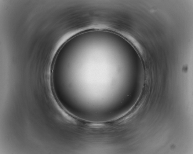 X0000102341343200808011131