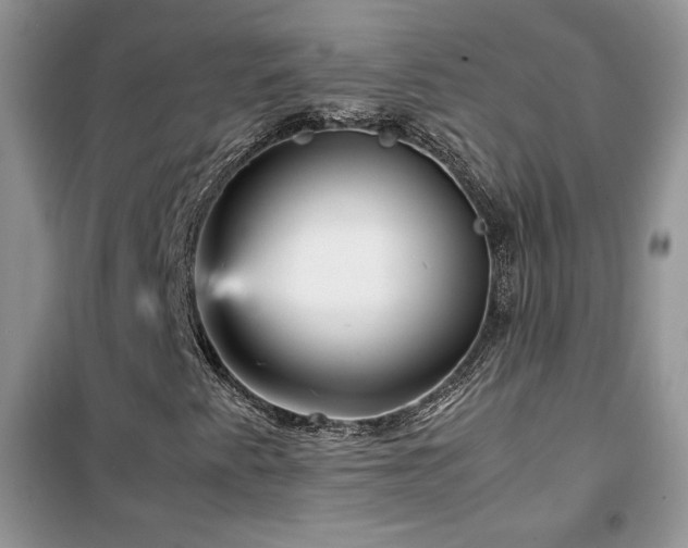 X0000102341345200808011131