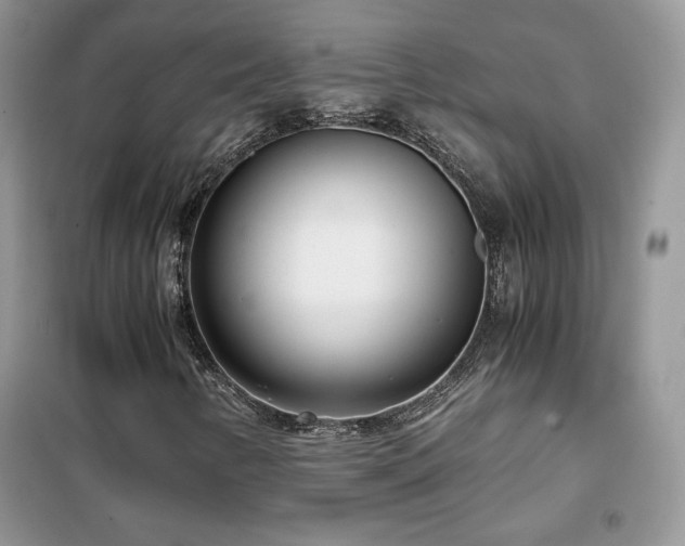 X0000102341346200808011131