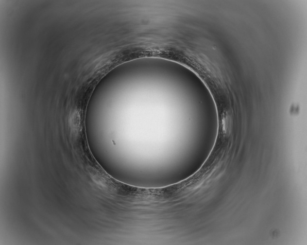 X0000102341347200808011131