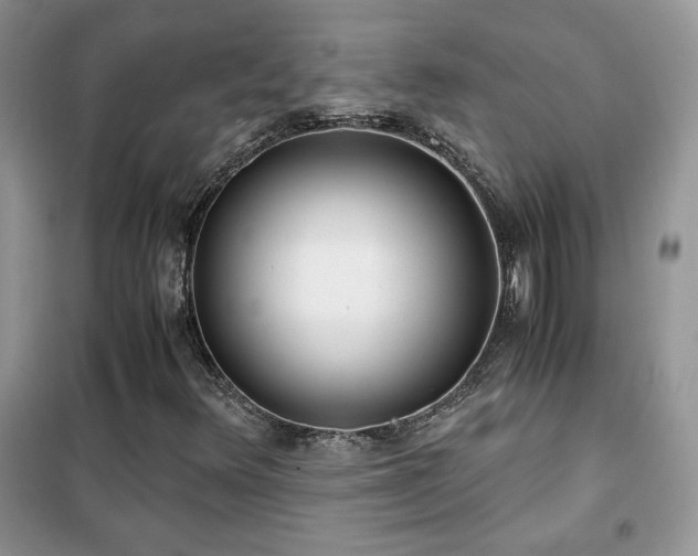 X0000102341348200808011131