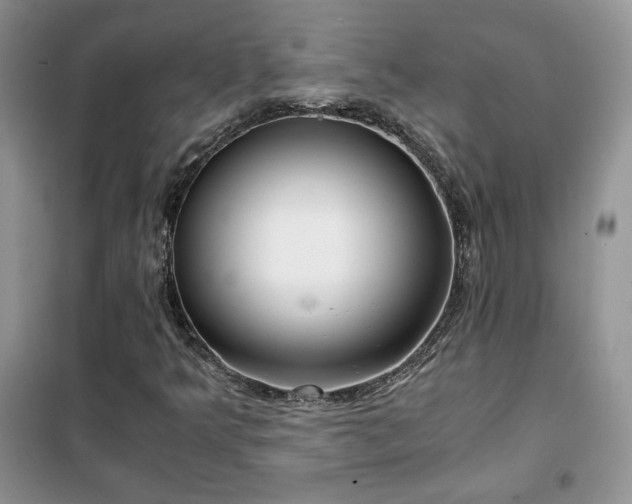 X0000102341349200808011130