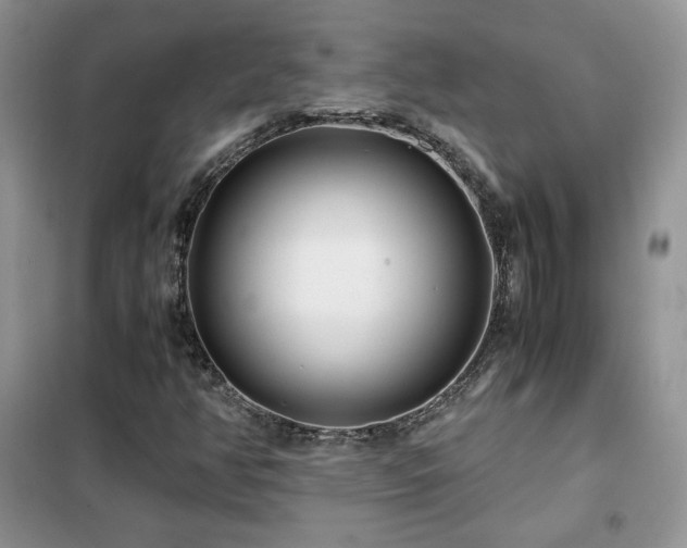 X0000102341350200808011130