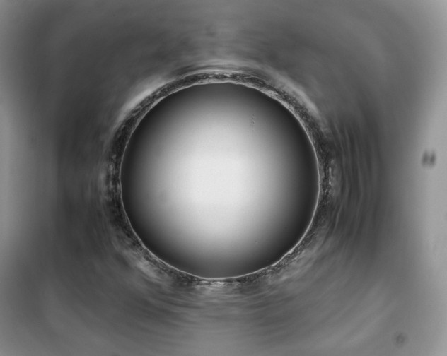 X0000102341352200808011130