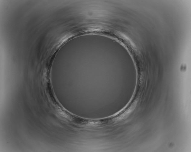 X0000102341353200808011130