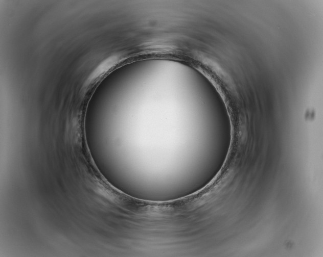 X0000102341354200808011130