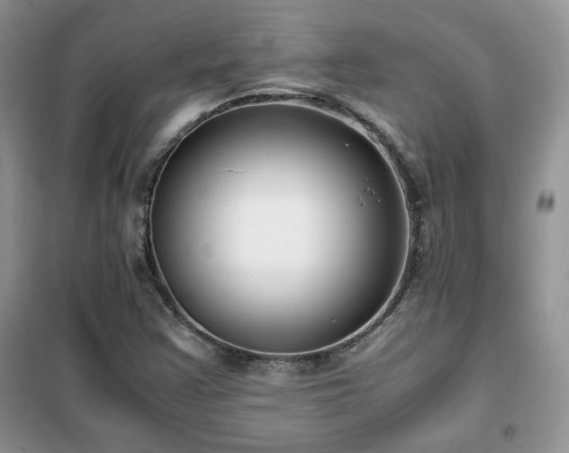 X0000102341355200808011130