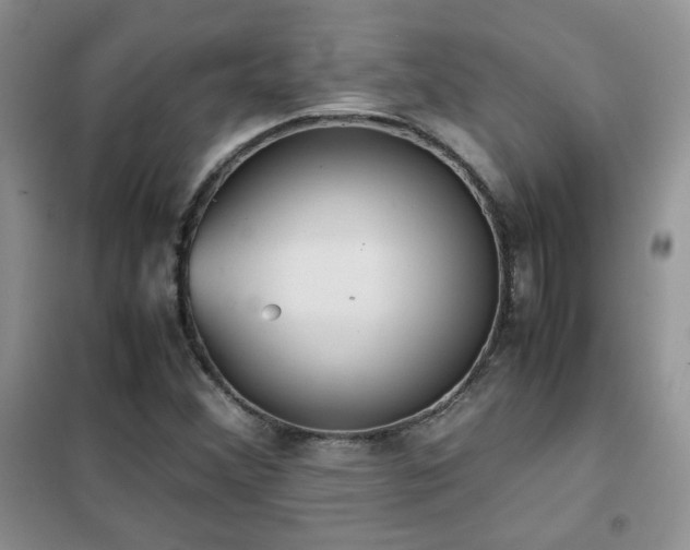 X0000102341356200808011130