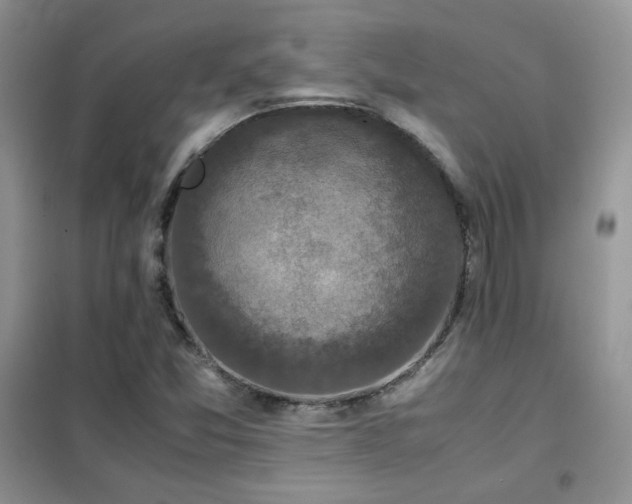 X0000102341357200808011130