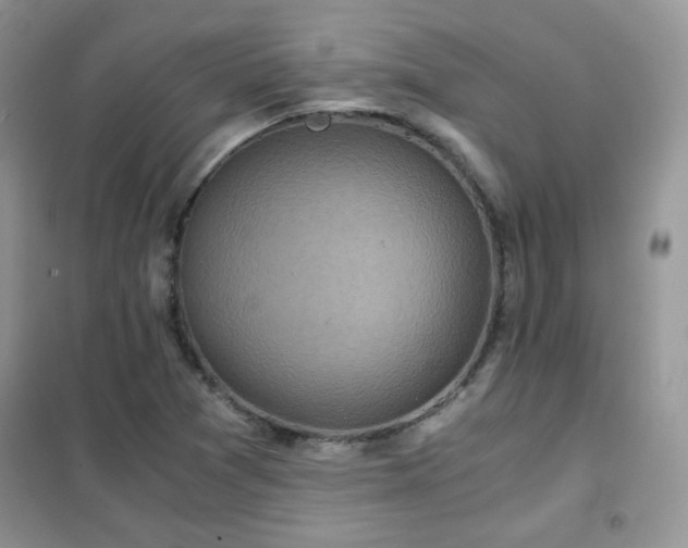 X0000102341361200808011130