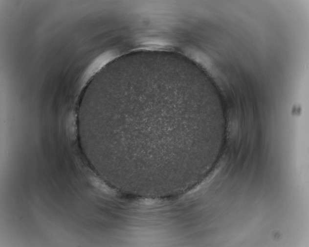 X0000102341362200808011130