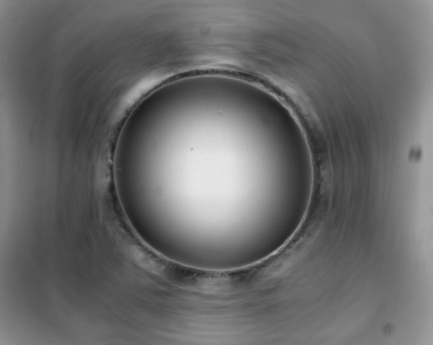 X0000102341363200808011130