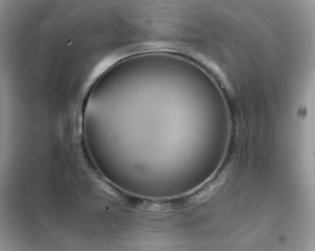 X0000102341365200808011130