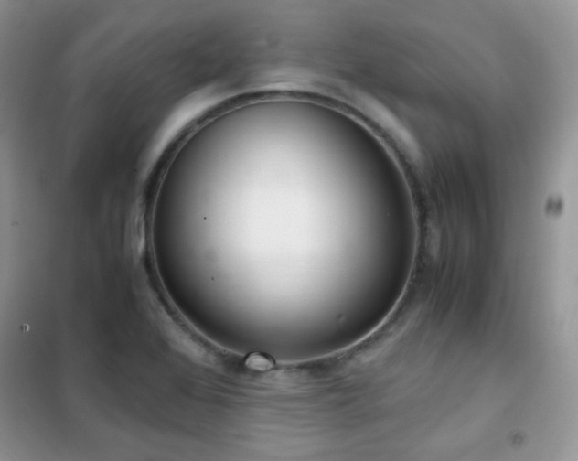 X0000102341368200808011130