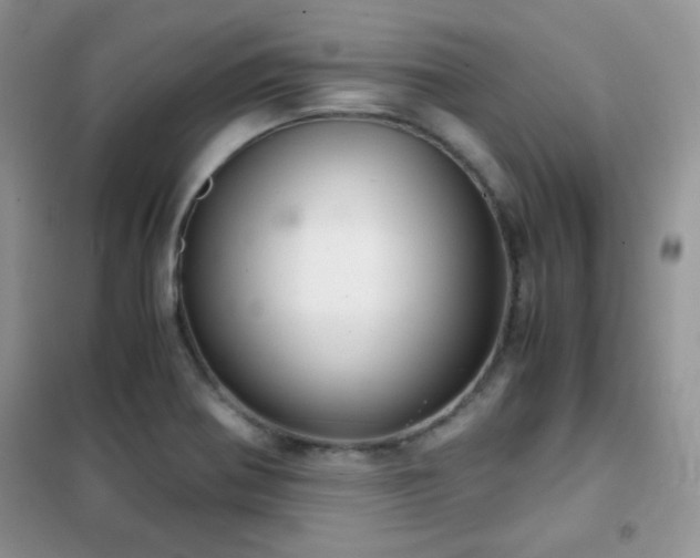 X0000102341370200808011130