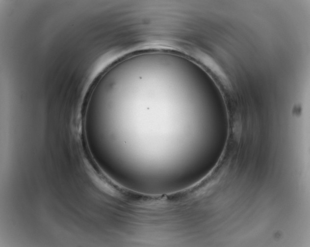 X0000102341372200808011130