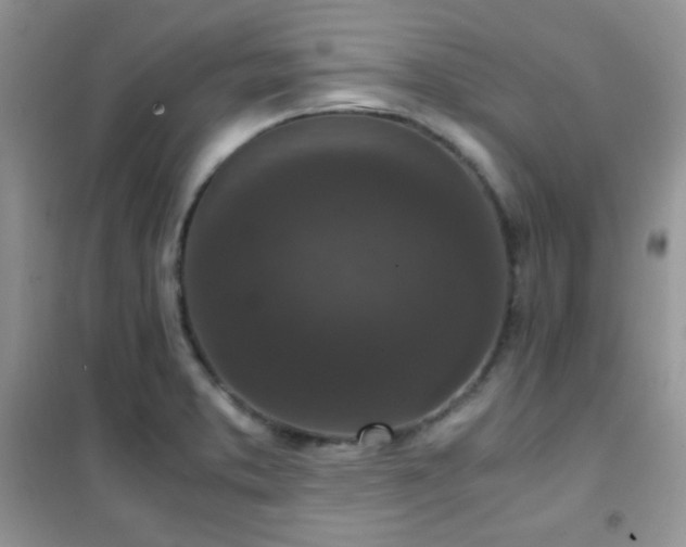 X0000102341373200808011130