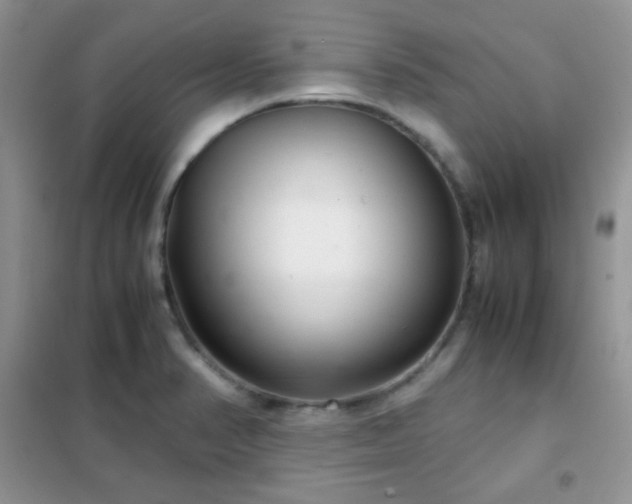 X0000102341374200808011130