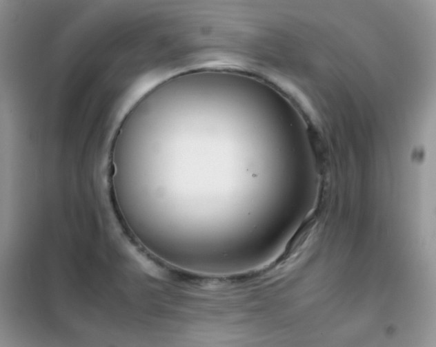 X0000102341375200808011130