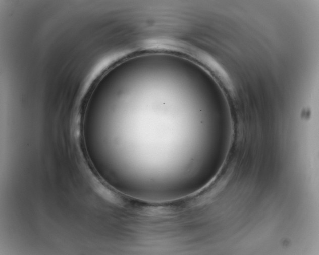 X0000102341376200808011130