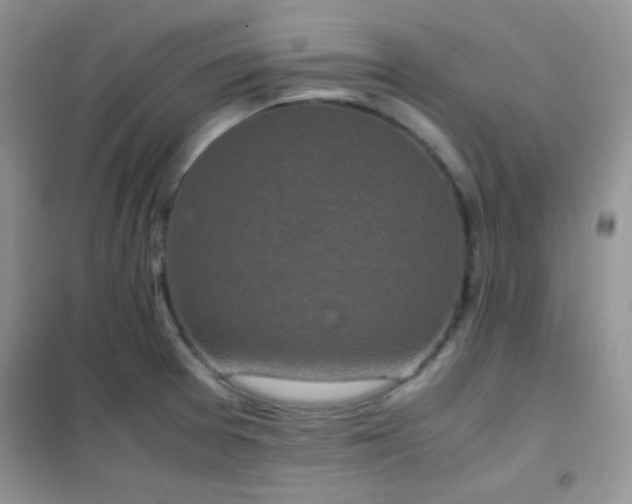 X0000102341377200808011130