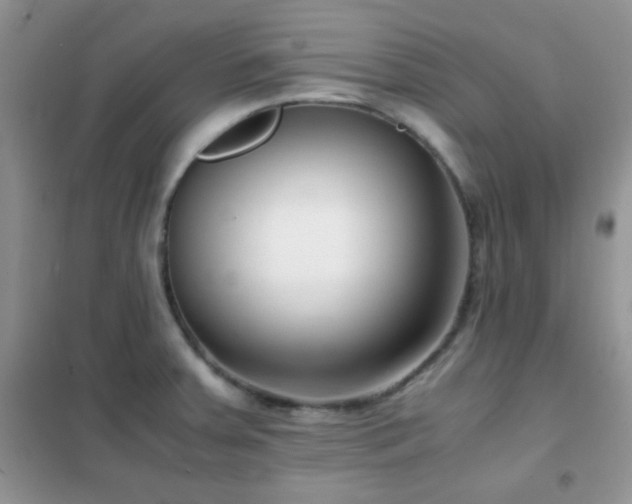 X0000102341379200808011130