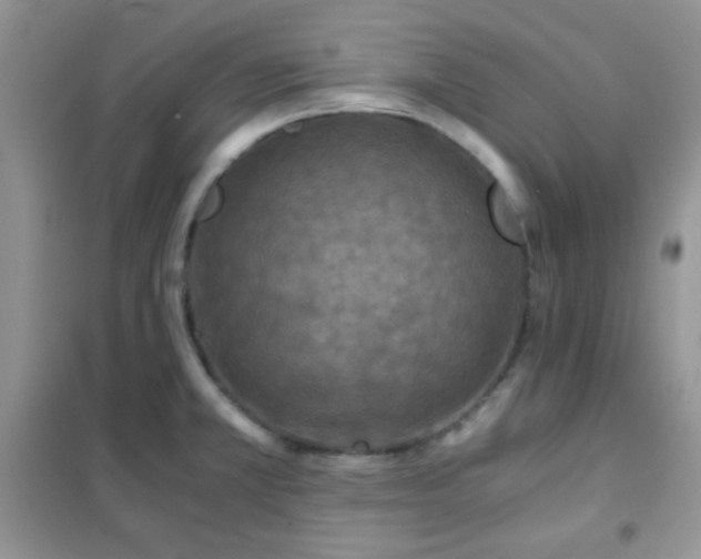 X0000102341381200808011130