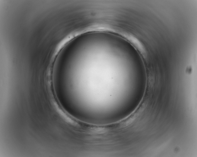 X0000102341382200808011130