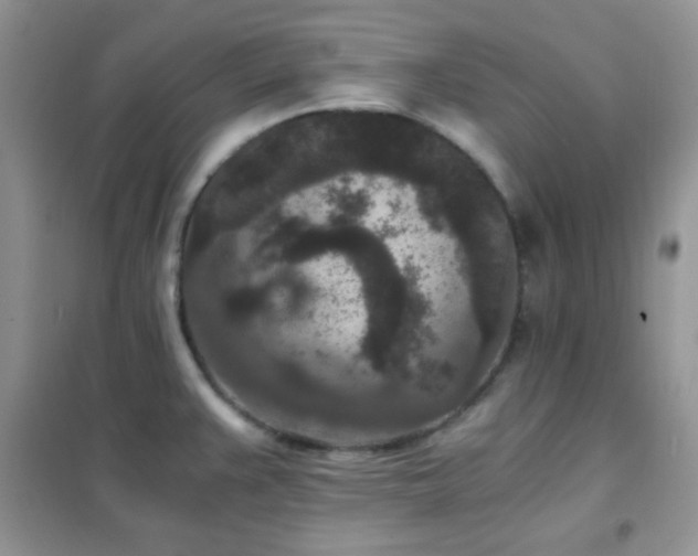 X0000102341383200808011130