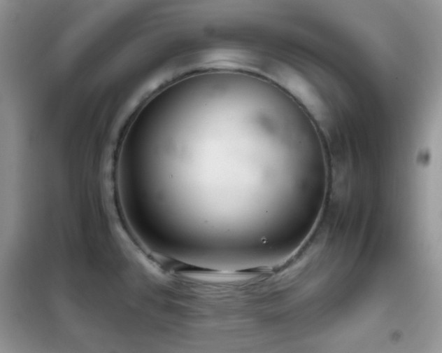 X0000102341384200808011130