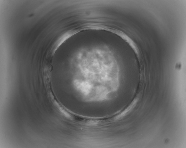 X0000102341385200808011130