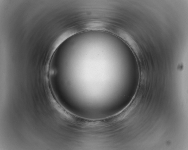 X0000102341386200808011130