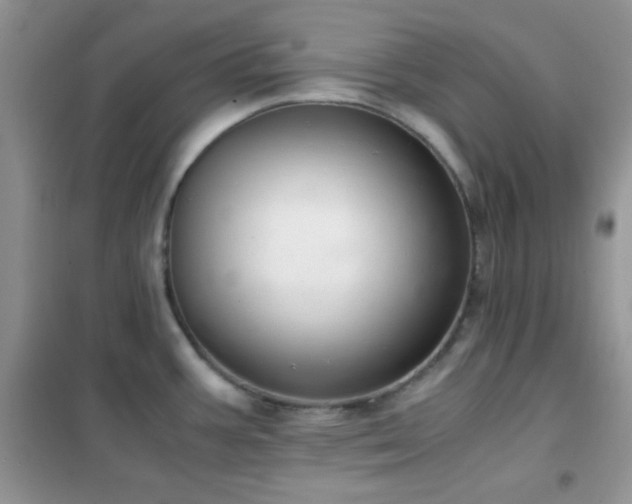 X0000102341387200808011130