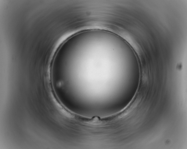 X0000102341388200808011130