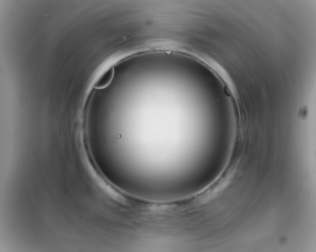 X0000102341389200808011130