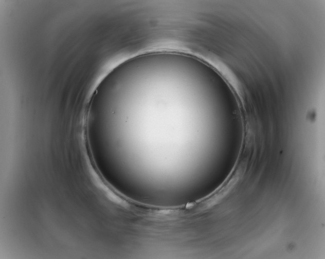 X0000102341390200808011130