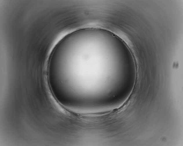 X0000102341392200808011130