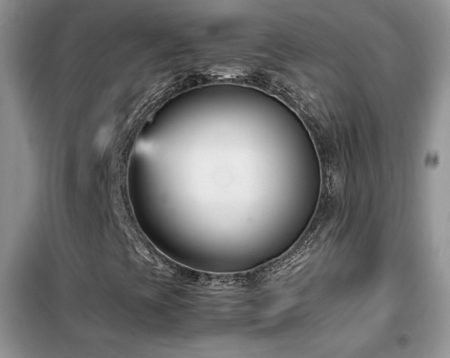 X0000102341393200808011129