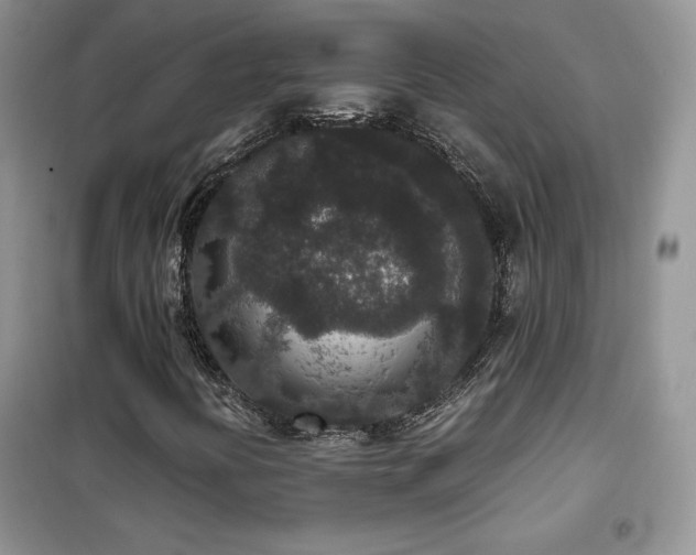 X0000102341394200808011129