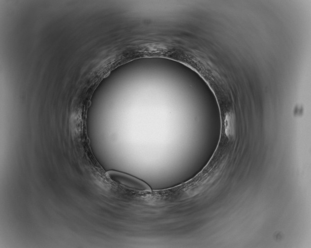 X0000102341395200808011129