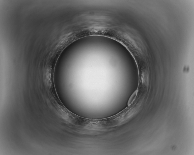 X0000102341396200808011129