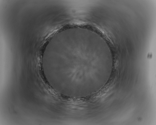 X0000102341397200808011129