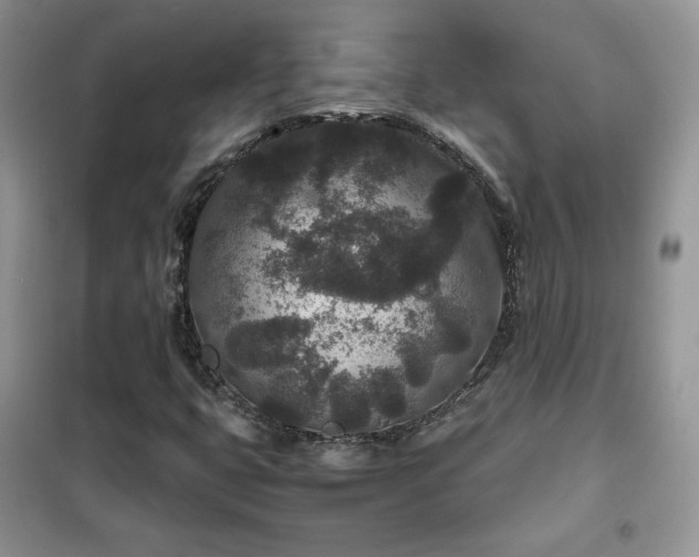 X0000102341399200808011129