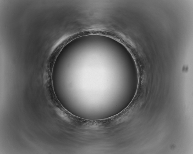 X0000102341400200808011129