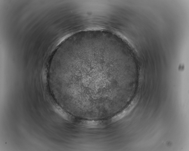 X0000102341401200808011129